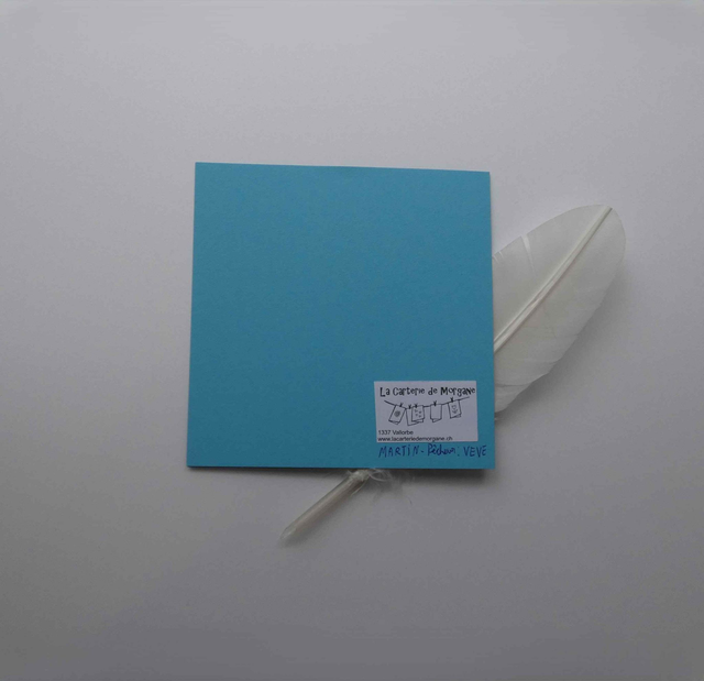 La carte au martin-pêcheur d'anniversaire