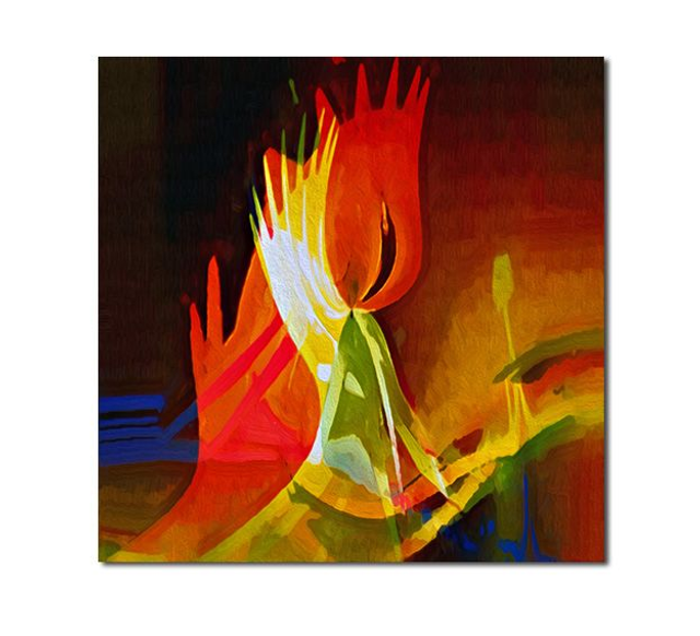 04 Abstract - A Tulip In Olinda, 2006.