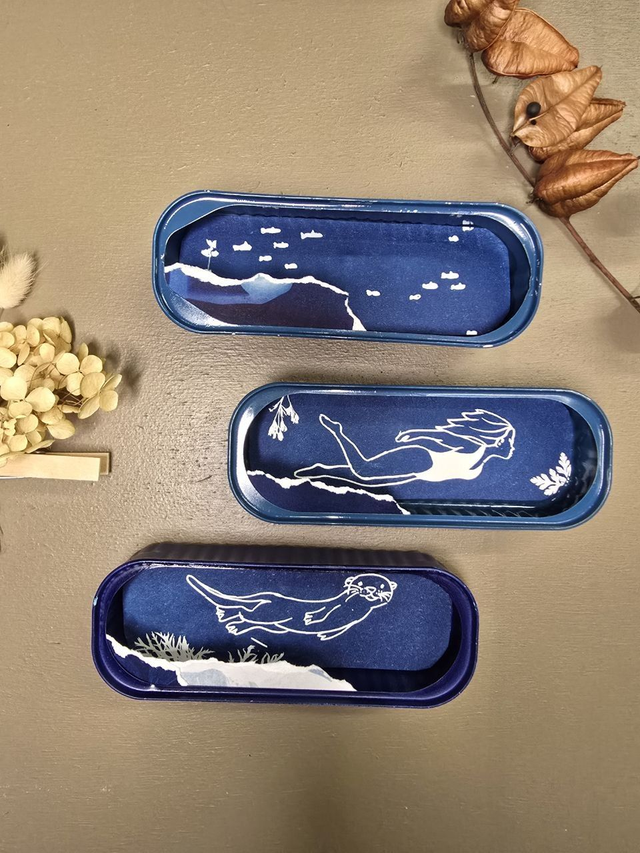 Boites de sardines - Cyanoboites