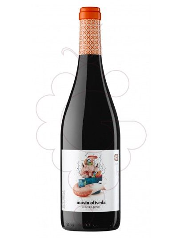 MASIA OLIVEDA "NEGRE JOVE"