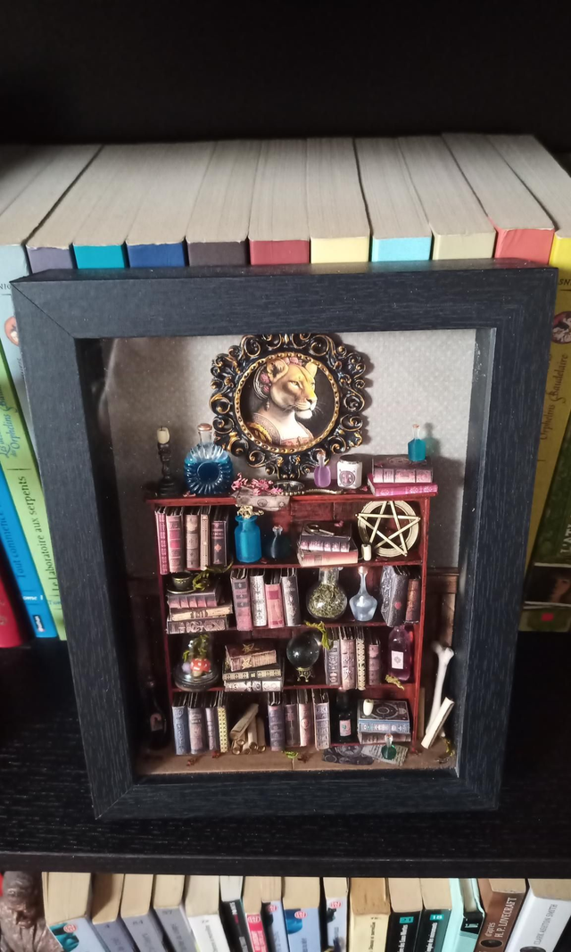 Petite bibliothèque sous cadre