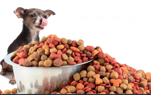 A Donation Of Pet Food 