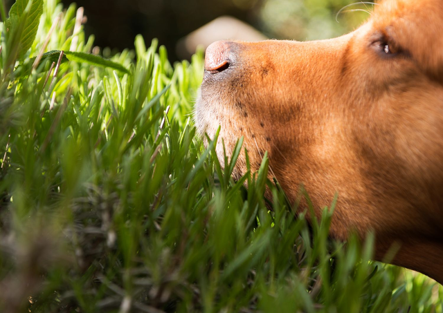 Portretshoot op locatie