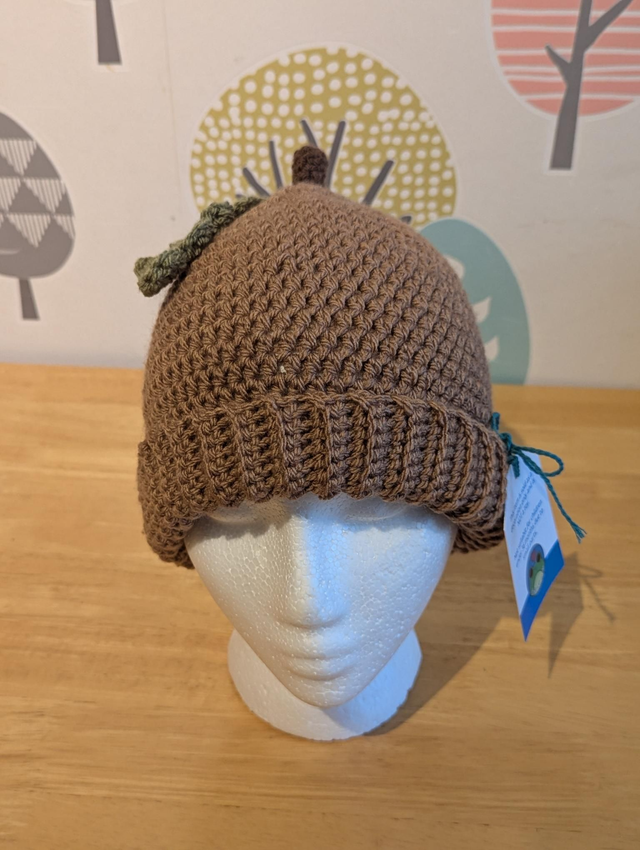 Acorn beanie hat 