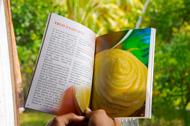 Livre farine de fruit à pain 