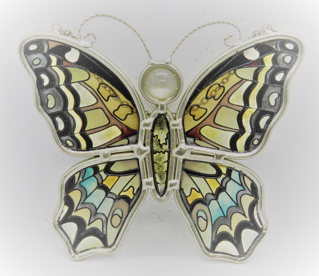 Blue/Brown Butterfly