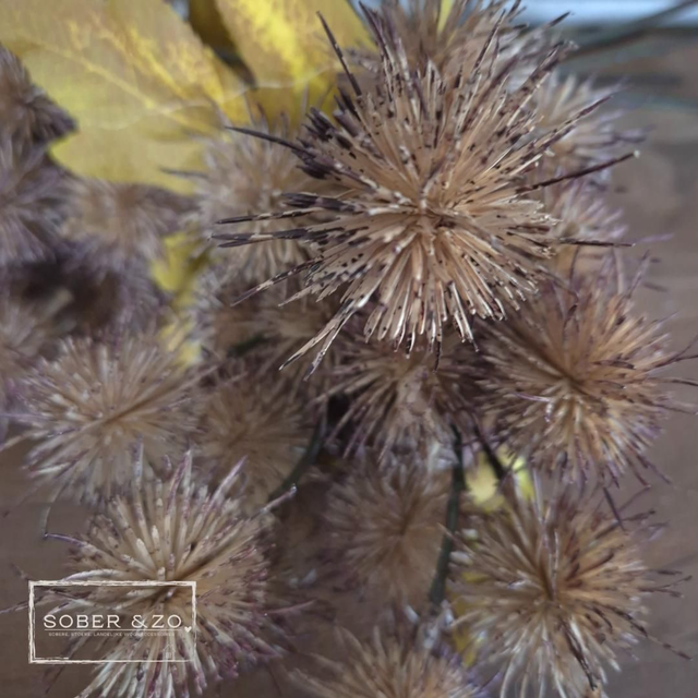 Kunsttak &#039;grote klit&#039;