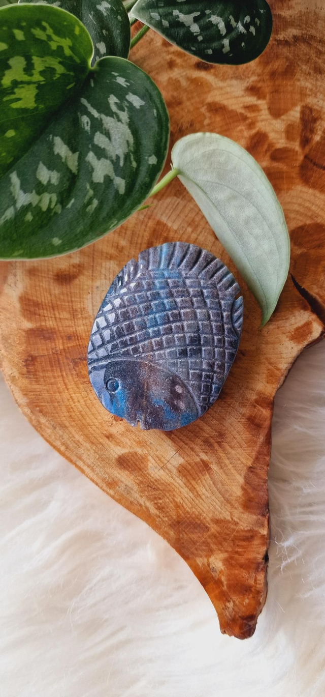 Trolleite Fish Carving 