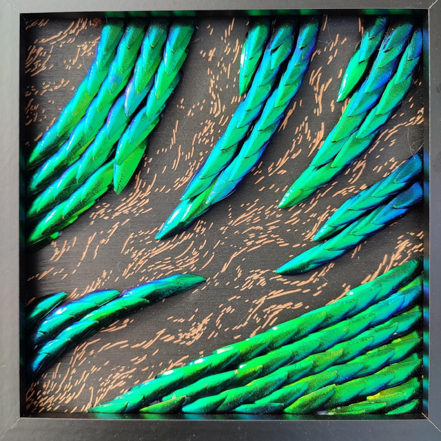 Les griffes du dragon