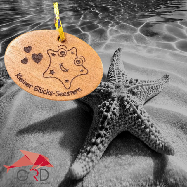 Kleiner Glücksseestern (Schlüsselanhänger)  