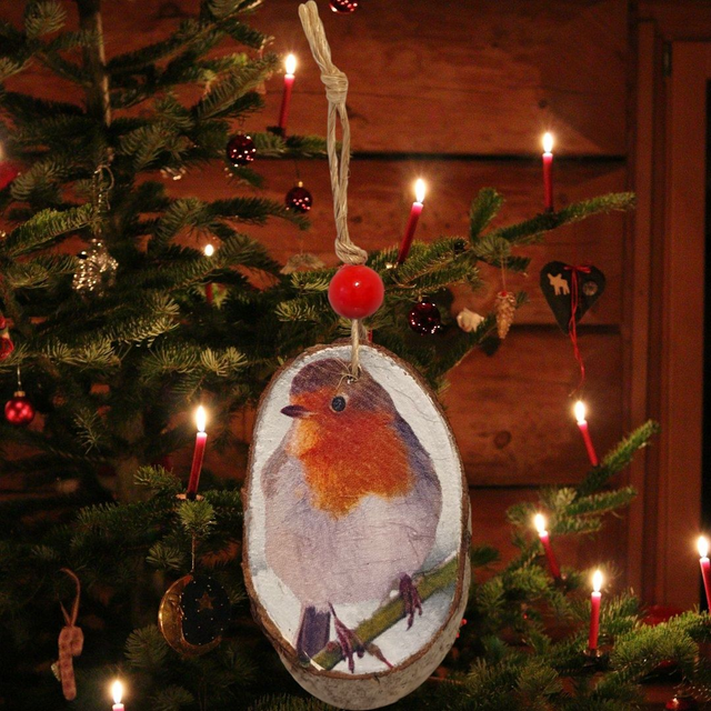 Robin Oval log slice