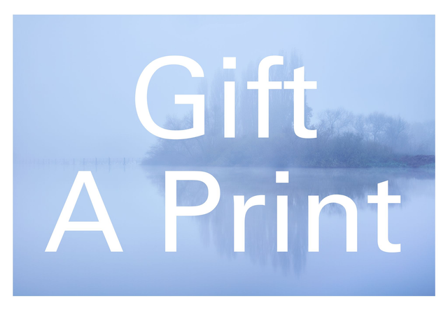 Gift Voucher - Limited Edition Prints