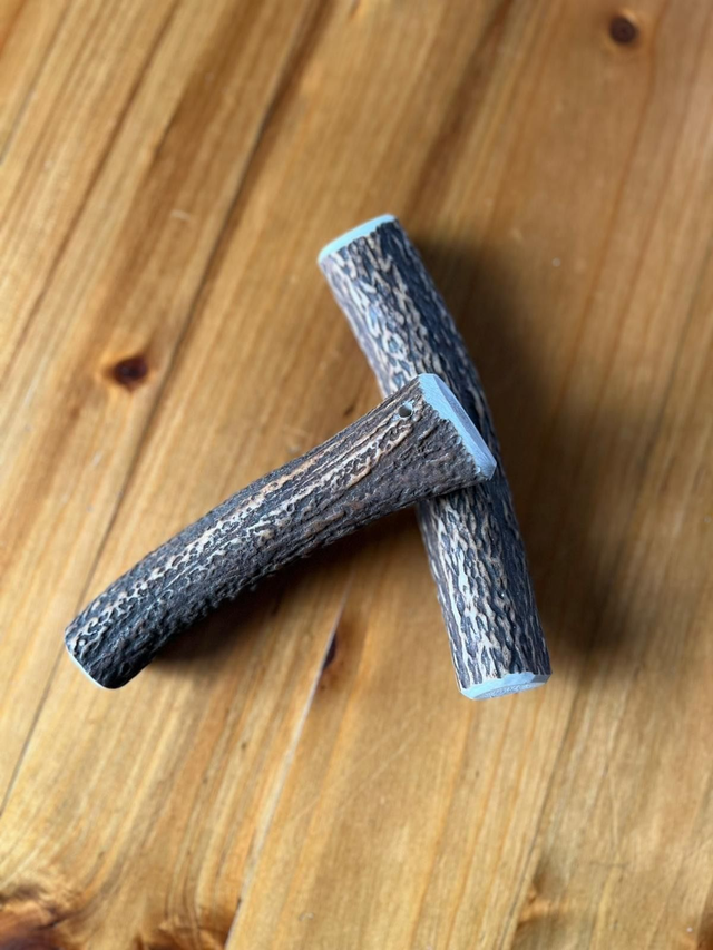 Bois de cerf Taille L