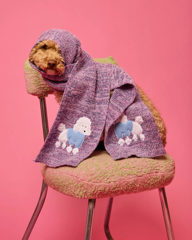 écharpe capuche chiné x thon mayo 