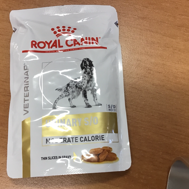 ROYAL CANIN URINARY S/O 