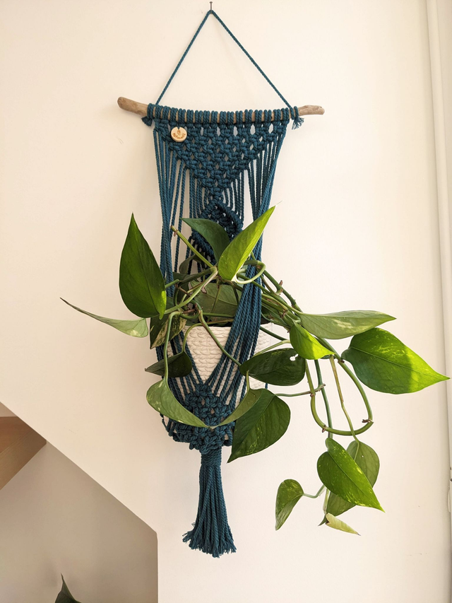 Porte-plante Philolys