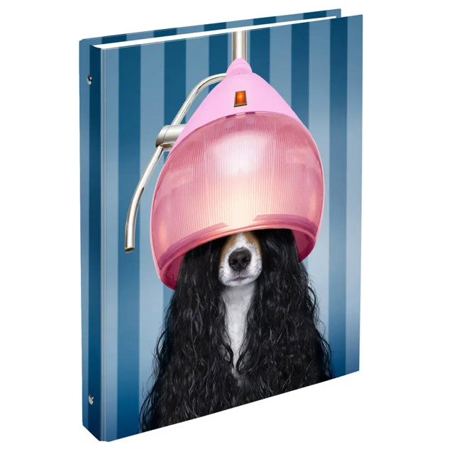classeur scolaire A4 ANONYM Funny Dog 4 anneaux