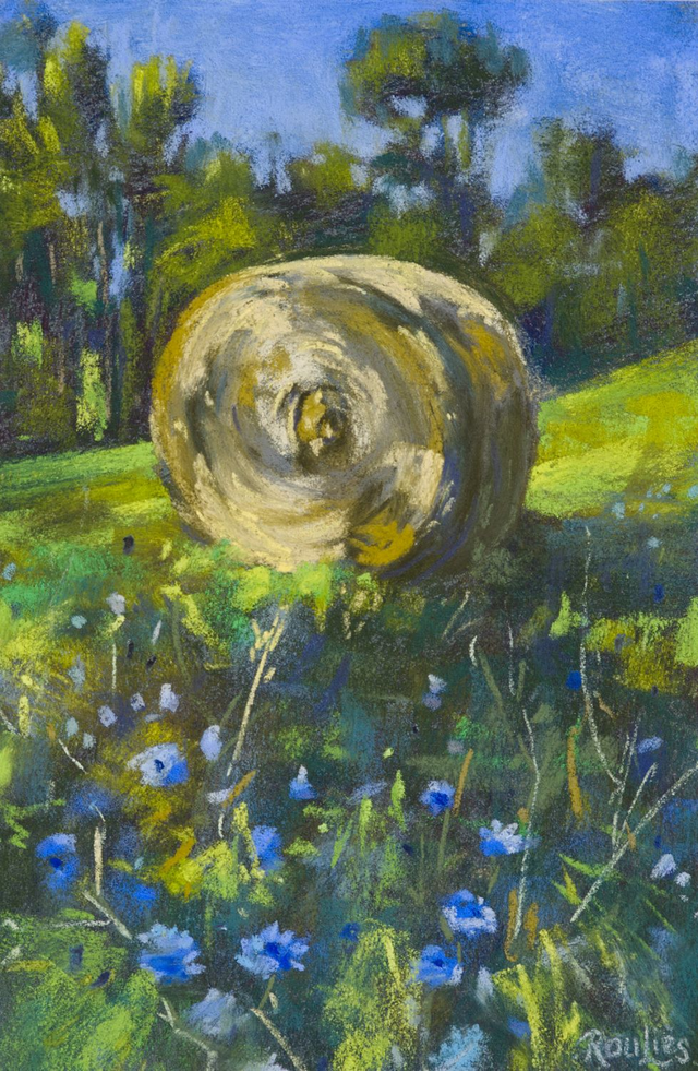 Balle de foin aux chicorées