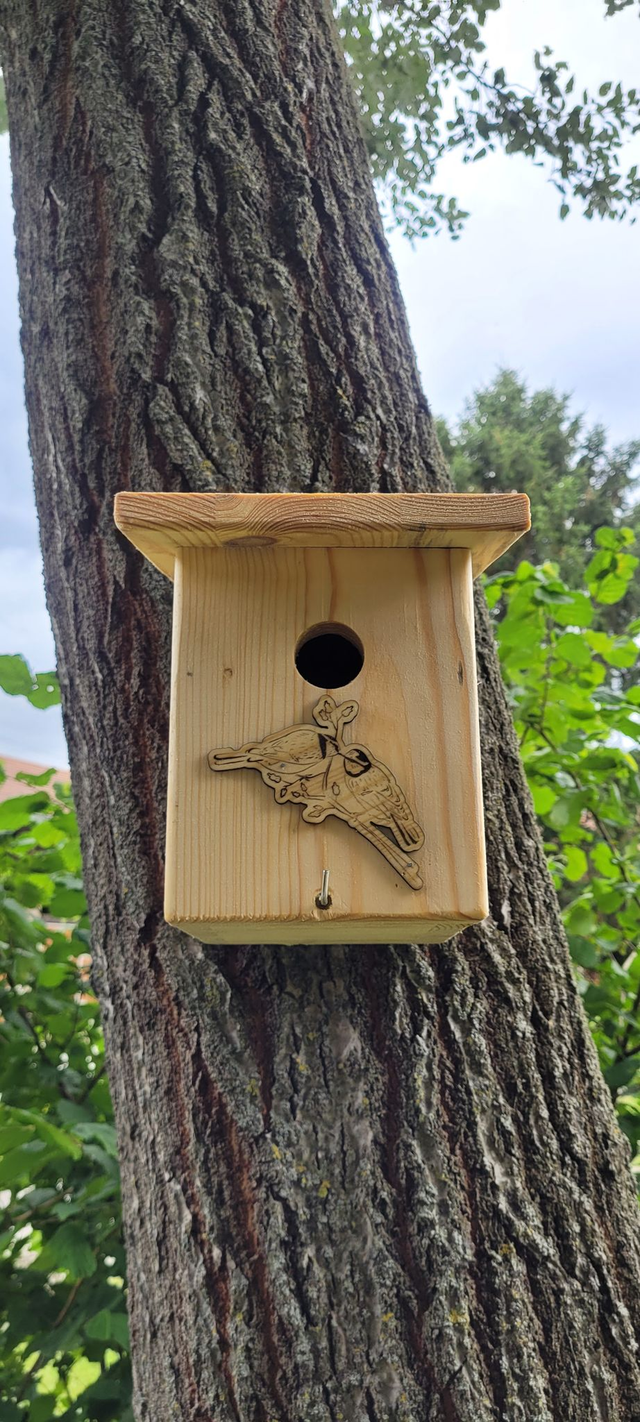 Nichoir à mésange 🐦