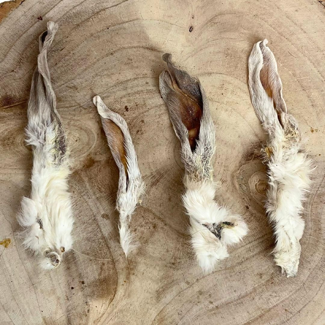 Rabbit Ears with fur