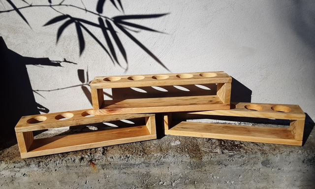 Support de plantes succulentes