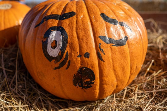 Pumpkin Spiced Matcha