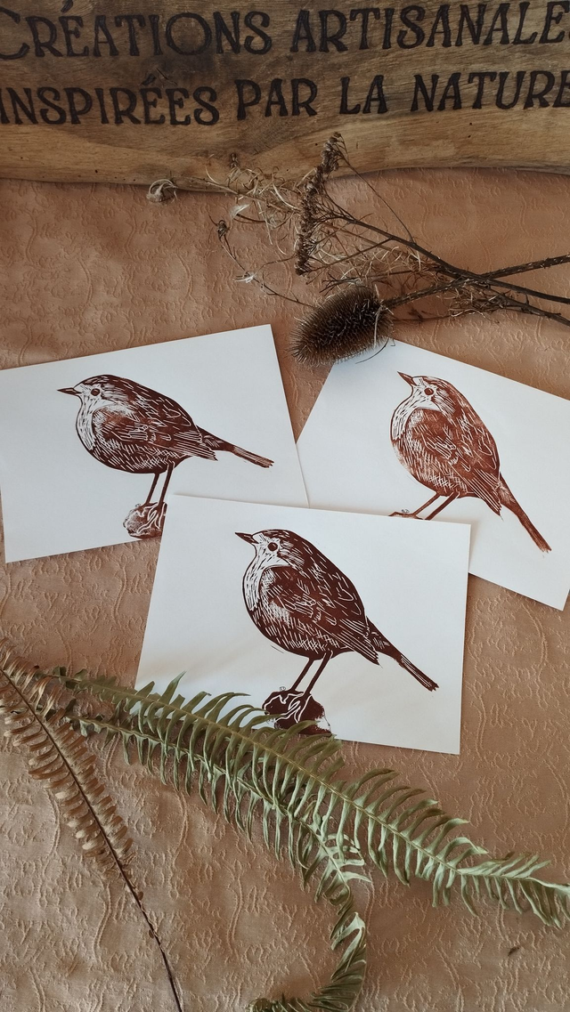 Illustration Oiseau Rougegorge Familier en linogravure, coloris marron