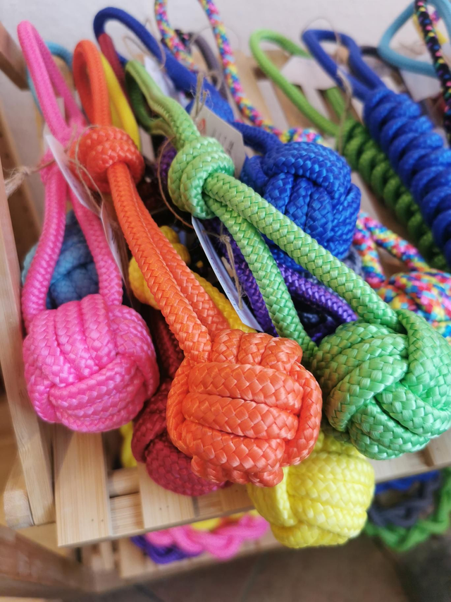 Hundespielzeug Schleuderball