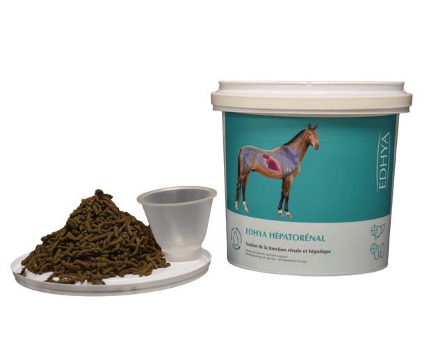 Edhya HEPATORENAL 4 kg