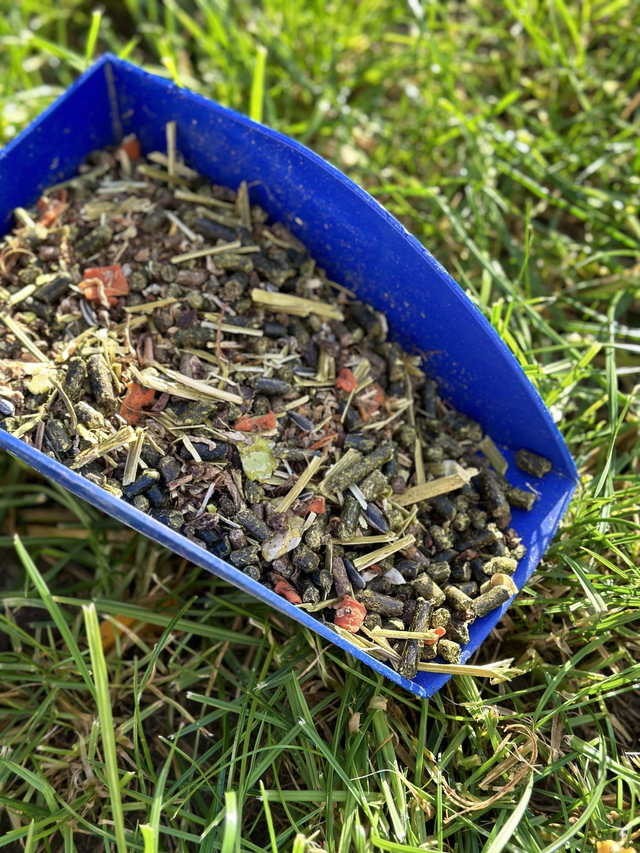 ISI Aktiv Getreidefrei