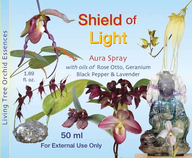 Shield of Light Aura Spray