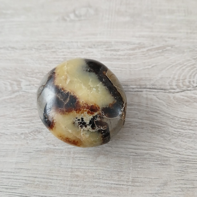 Septarie – Aarding & Innerlijke Kracht  5,5 x 5 x 3 cm (12.109)