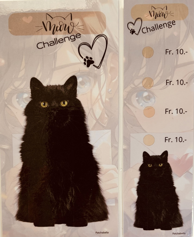Miaou 7