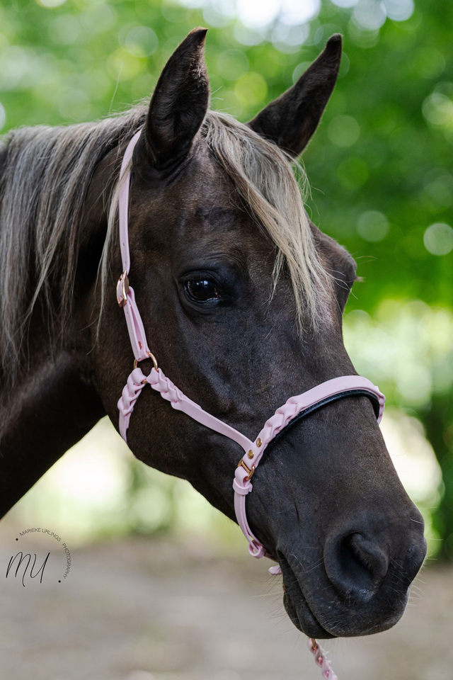 Halster Braided (zijkant)
