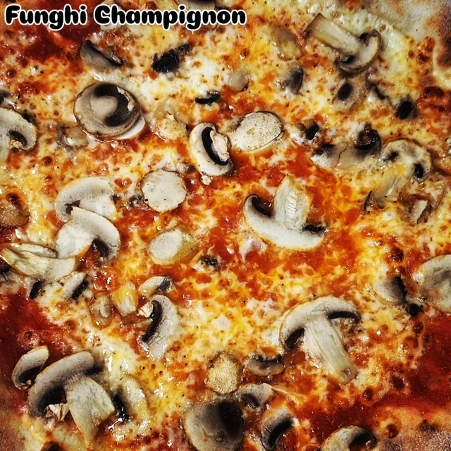 Funghi champignon