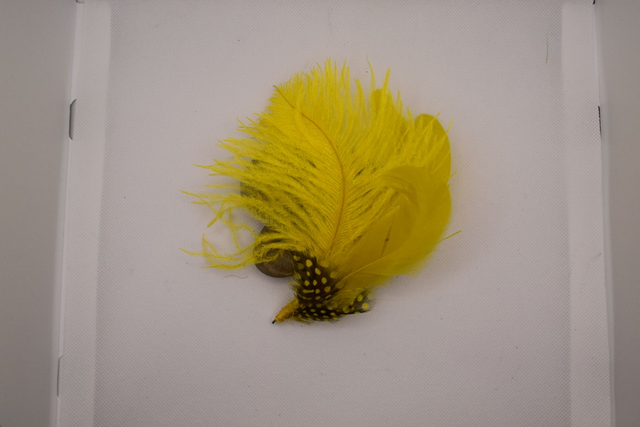 Broche autruche, coq et pintade