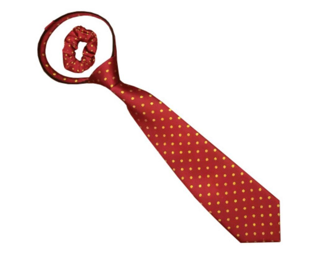 Equetech Polka Dot Zipper Show Tie