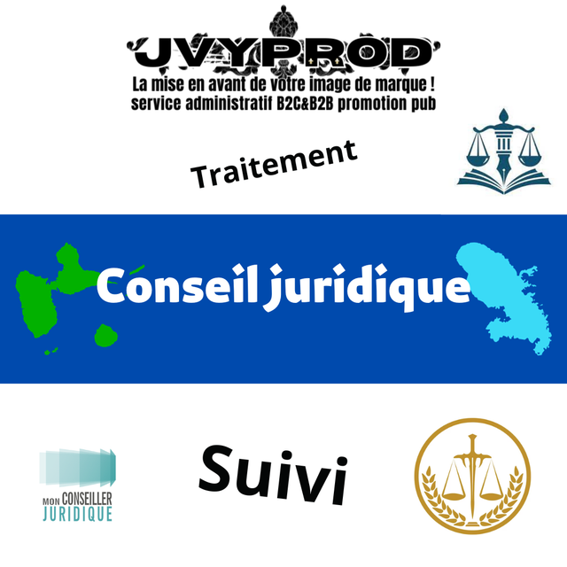 Conseil juridique (consultation)