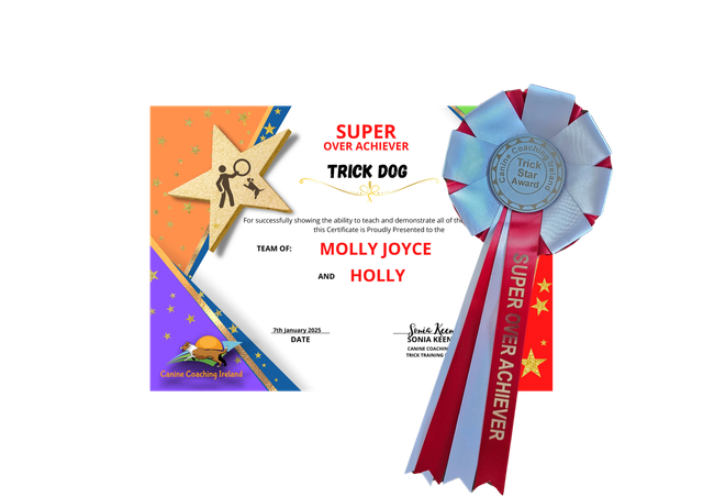 Super Over Achiever - Cert &amp; Rosette  