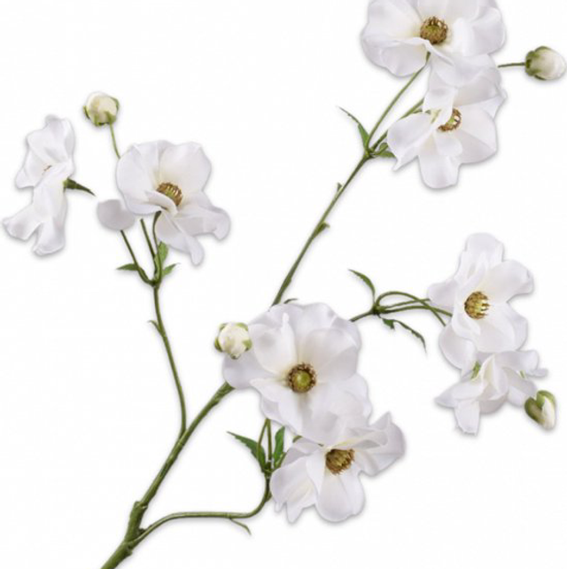 Silk-Ka Ranonkel Tak Wit 