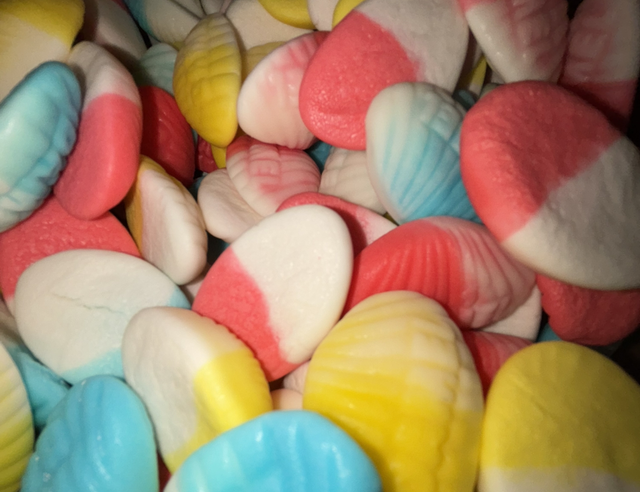  COQUILLAGES 100g 