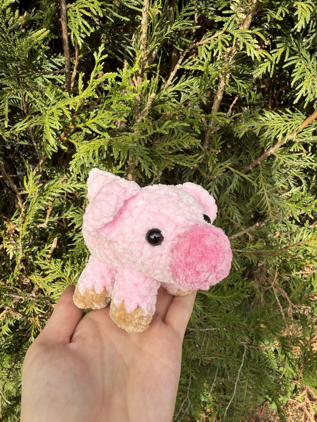 Cochon 🐷
