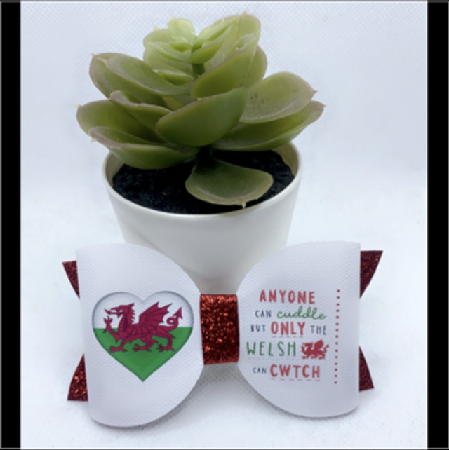 Only the Welsh can Cwtch 