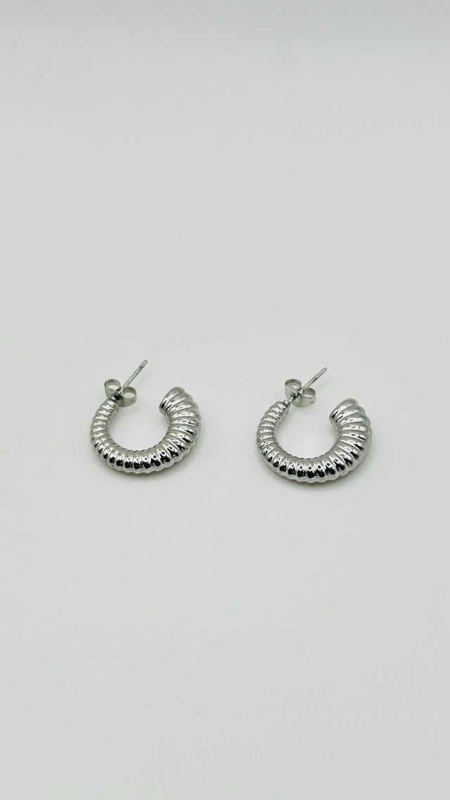 Stainless Steel Earrings (SSE74J)
