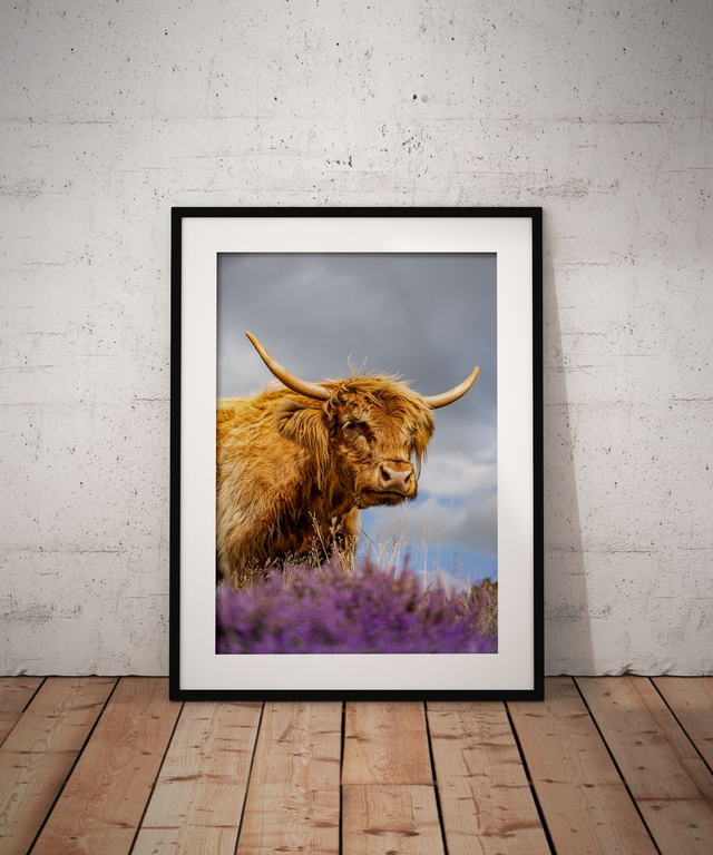 Purple is Definitely My Colour, Peak District