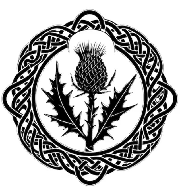 SALE Lacquered coaster