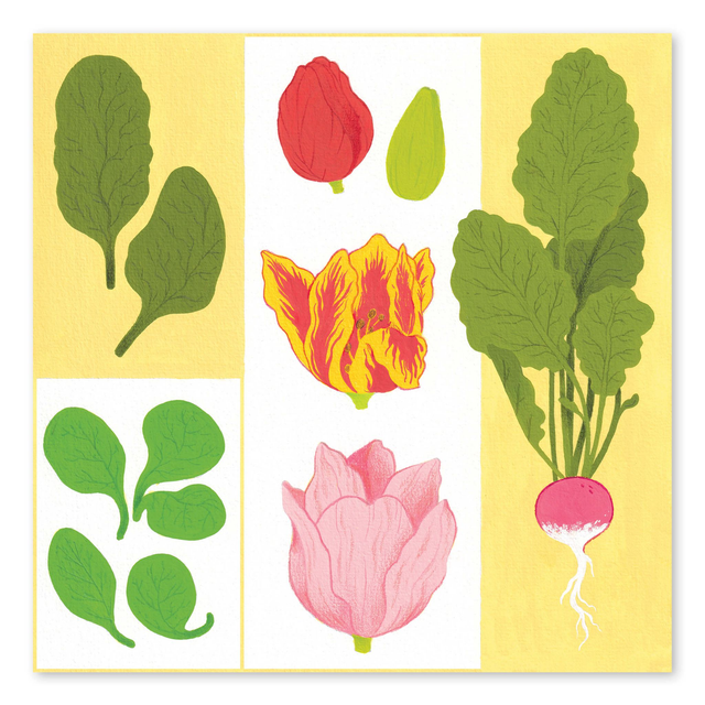 Illustrations du calendrier 2024