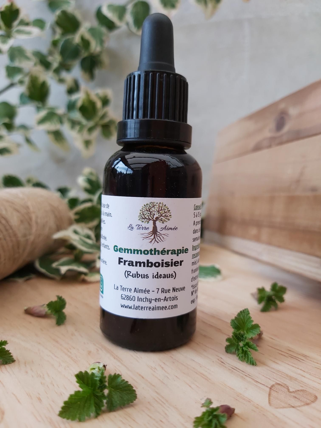 Framboisier (bourgeons)