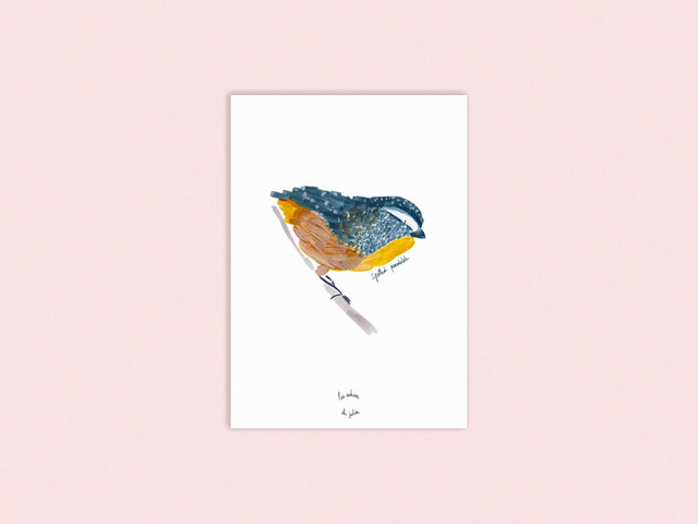 Carte pardalote pointillé