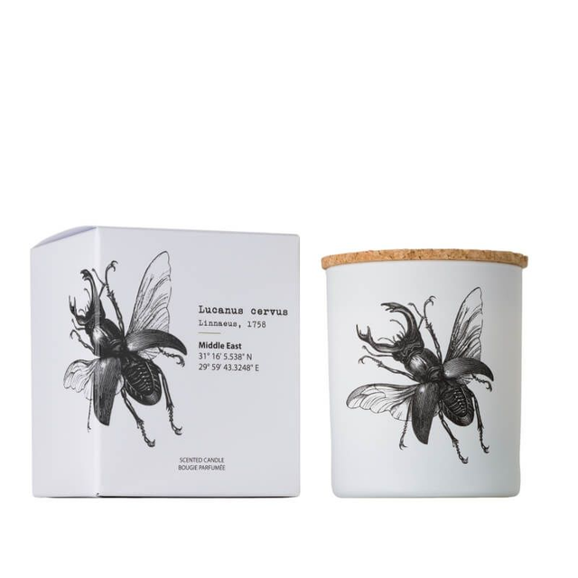 VELA VASO 190GR.INSECTOS LUCA